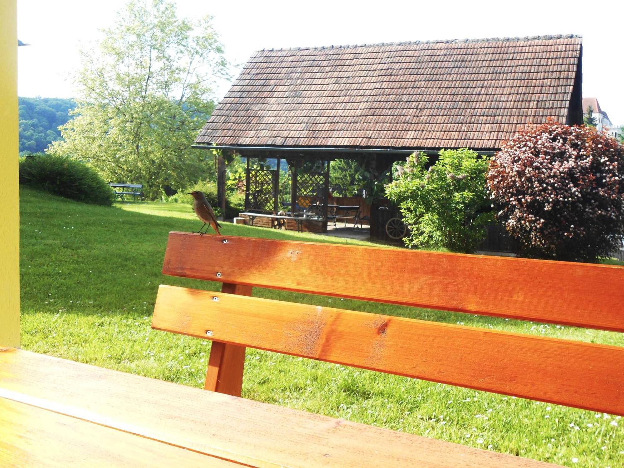Ferienwohnungen Karin Am Seggauberg Leibnitz Exteriör bild