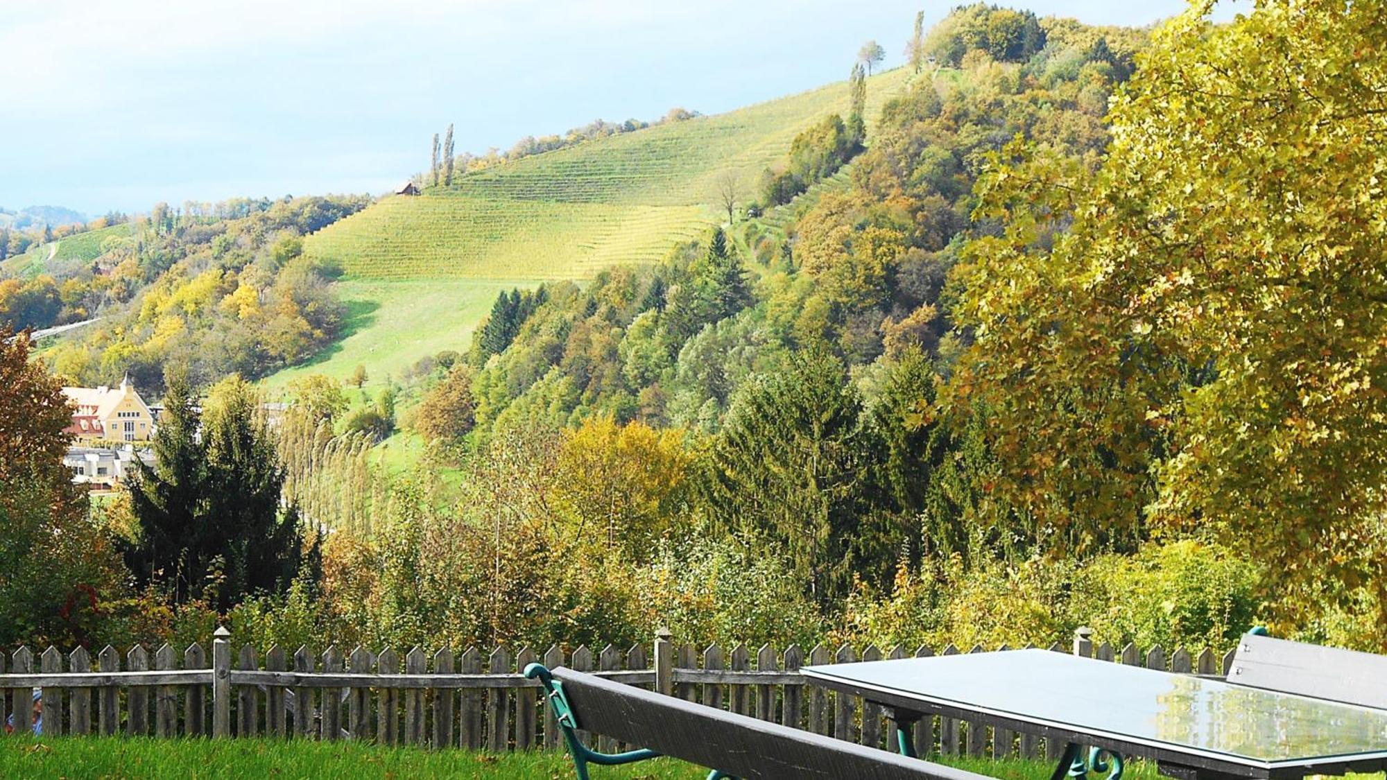 Ferienwohnungen Karin Am Seggauberg Leibnitz Exteriör bild